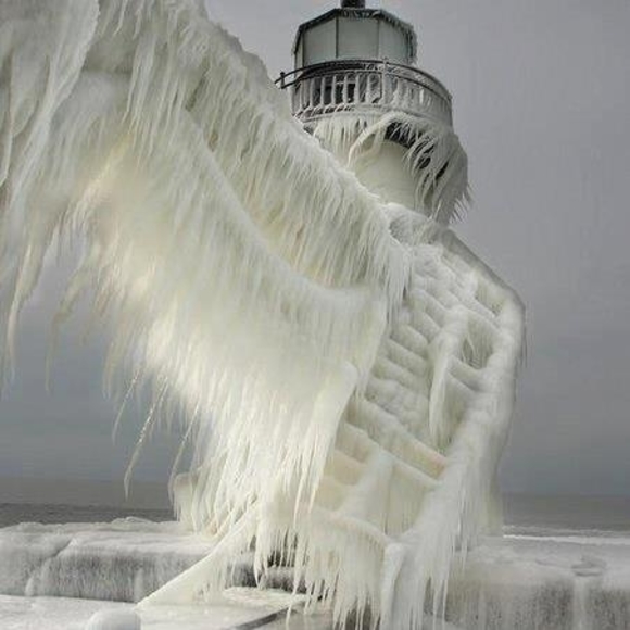 Meet your Posher, Melsy - Picture 1 of 1